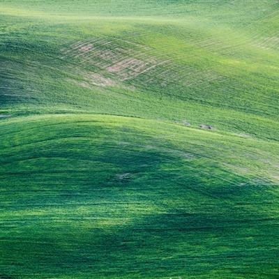 力促中欧绿色能源合作 中石油首次将生物航煤打入欧洲市场