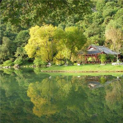 漫步丽江 小桥流水、古巷深深、花开满街 每一个转角都是风景。