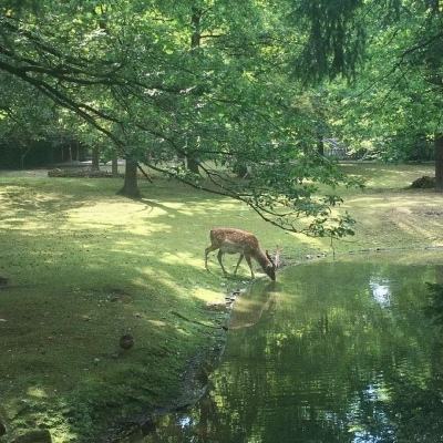 捞不完真的捞不完，浙江一发电厂遭遇“海蜇危机”，网友提出“吃货”建议，专家给出分析