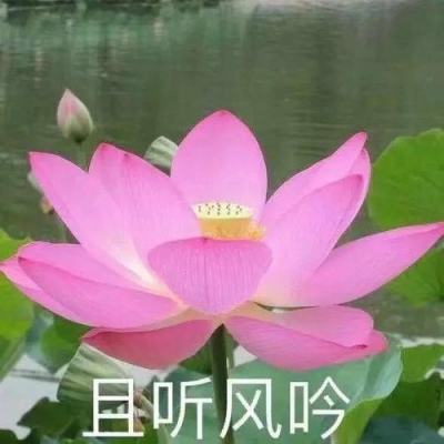 女高管与下属约会开房被开除