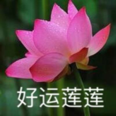 日本自民党总裁选举高市早苗和石破茂进入第二轮